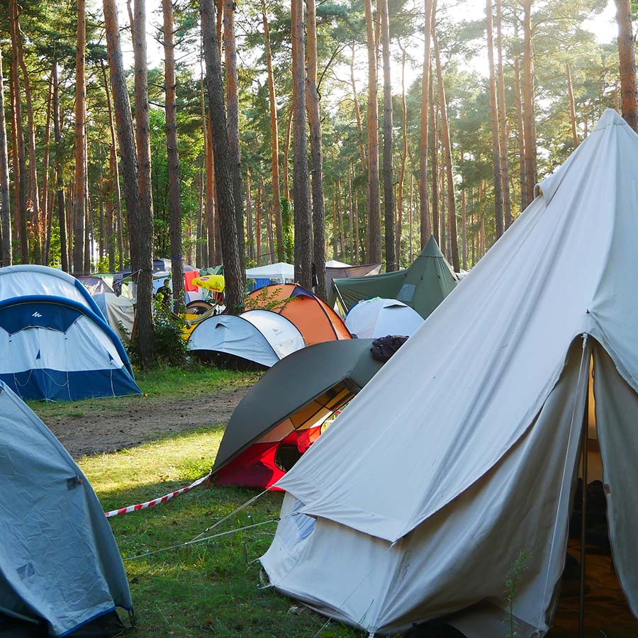 Dein Sommer mit Finizio 3 Dein Sommer mit Finizio